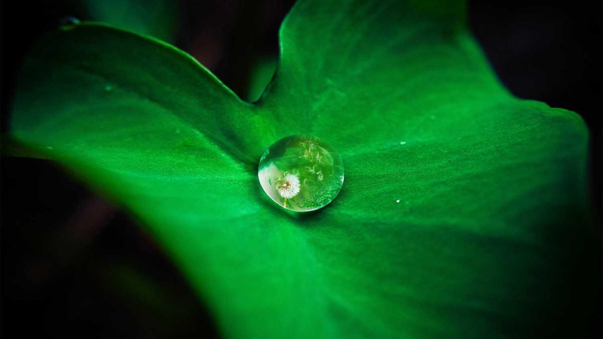海豚按摩器什么牌子好?质量怎么样?