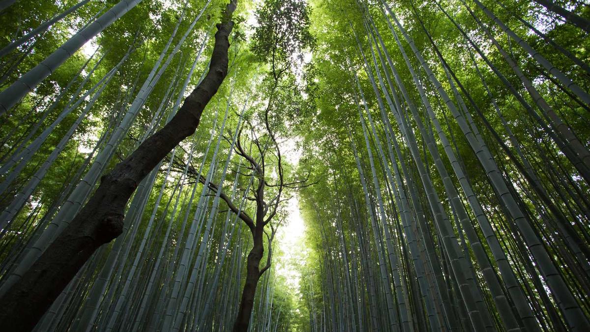 请问8月,15.16.17.号这几天的江门上川岛的天气怎么样?