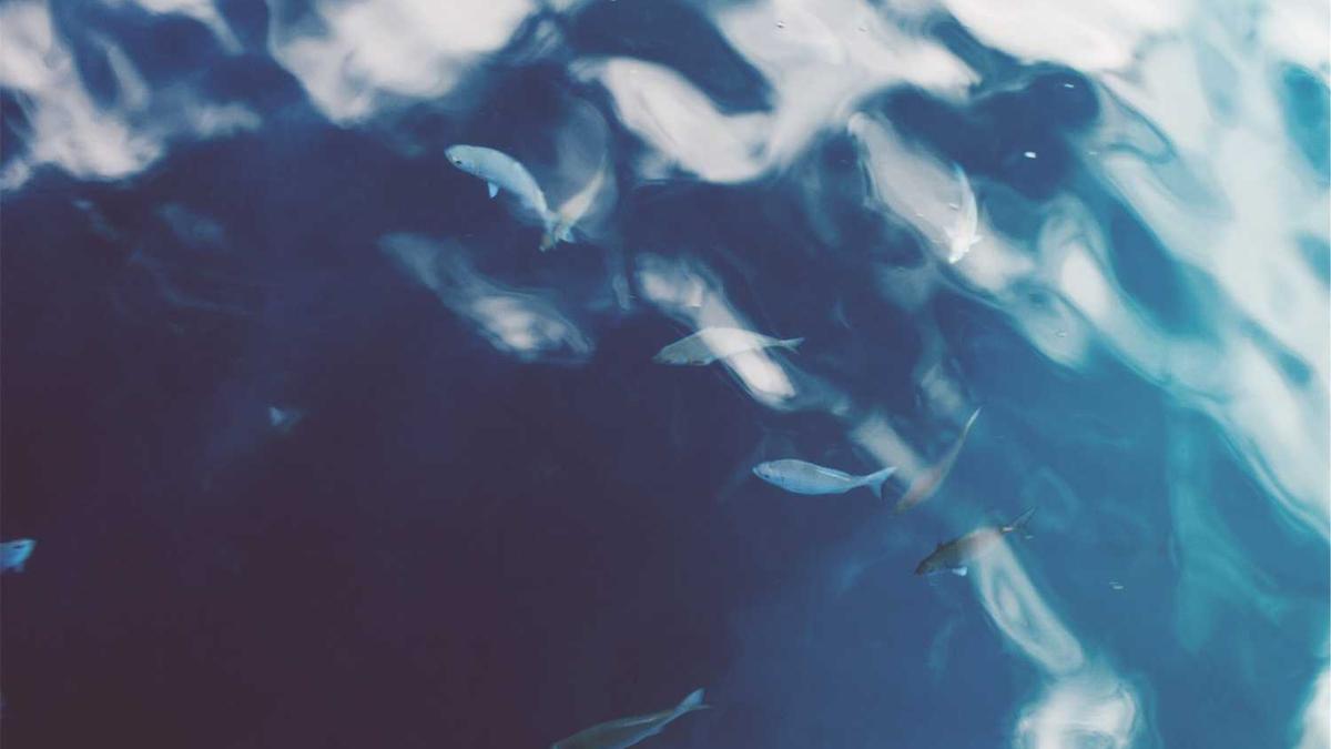 海口一周温度