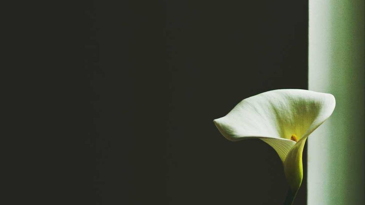 天津有哪些著名书画家