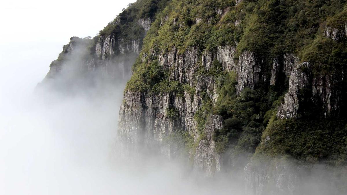 安徽省安庆市人民政府现任领导及工作分工