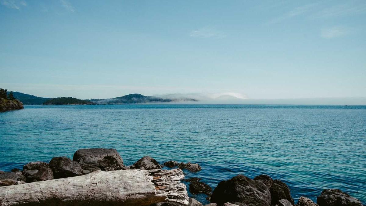 东郊到家是否有那种没在明面上展示的隐藏服务呢?