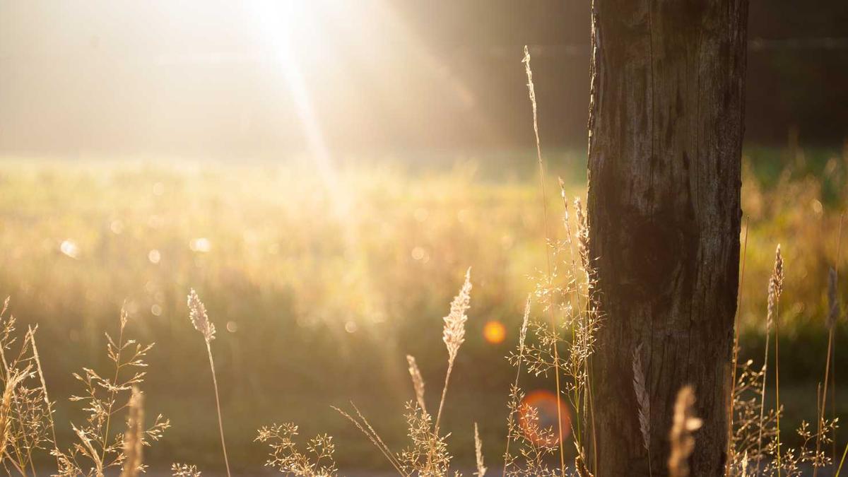 海南2025年封关,要不要来海南买房注册公司,海南各个地区房价对比