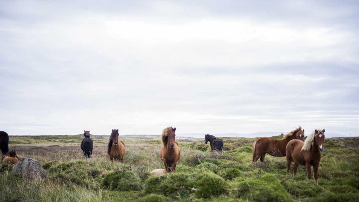 大同三日游必去景点