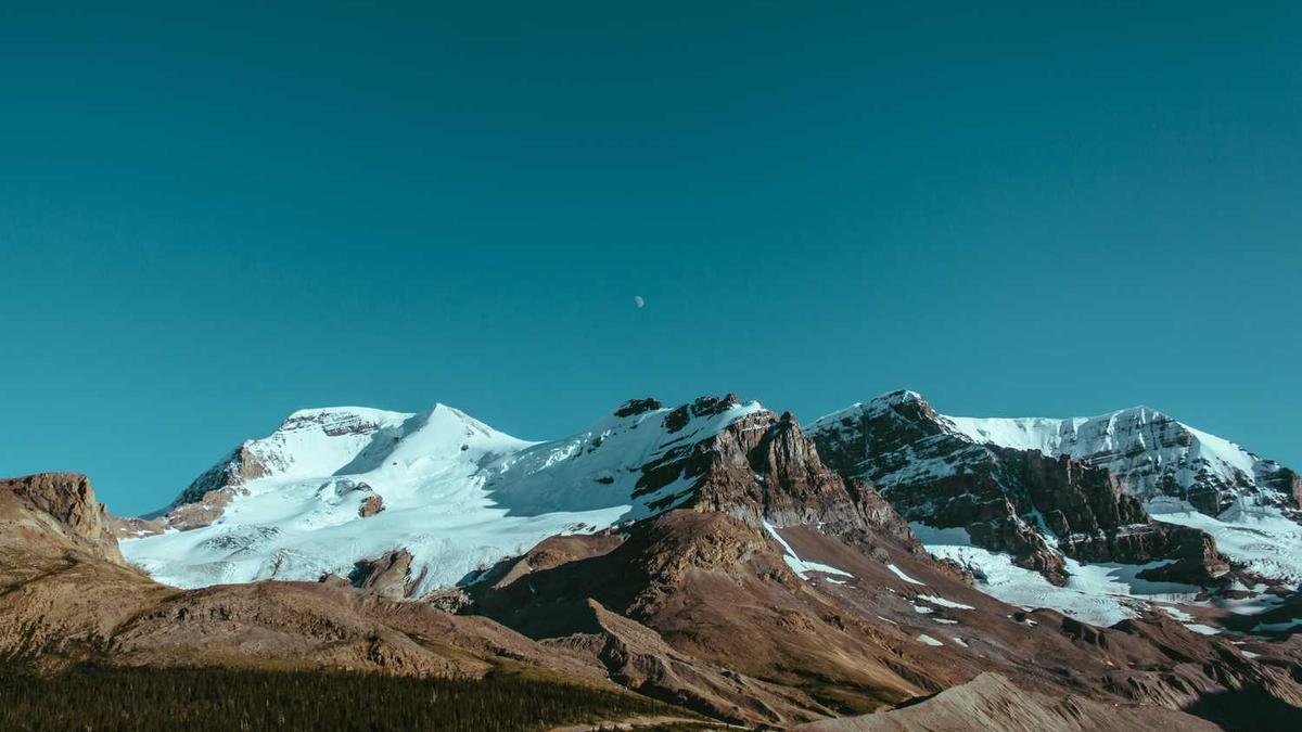 抖音小店本地生活类目怎么开通,报白?