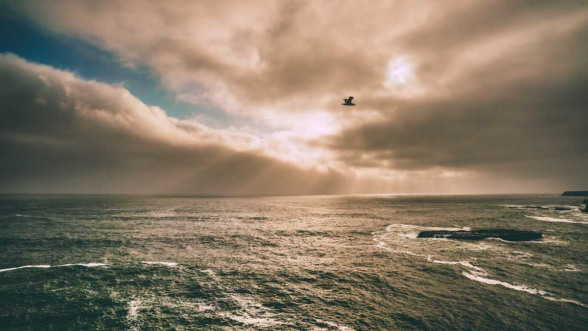 毕节市人民政府关于叶茂等同志正式任职的通知