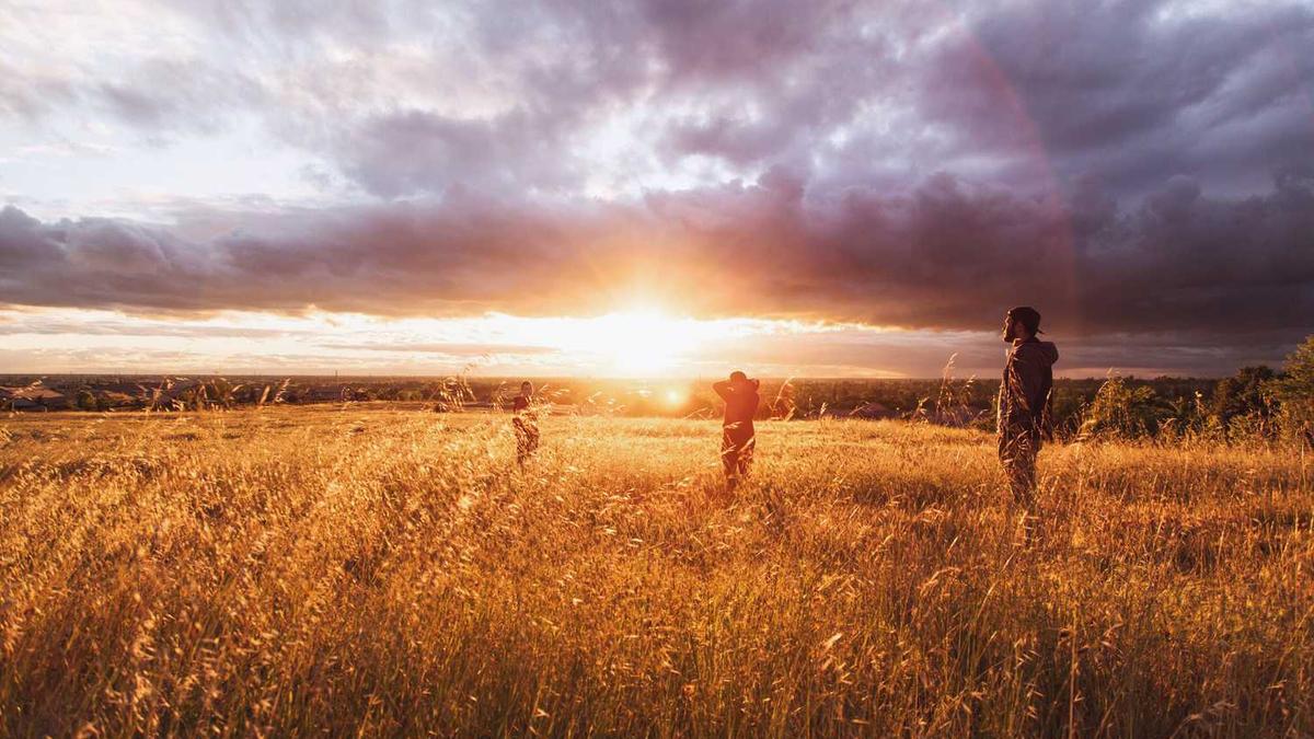 临沂大学有几个校区及各个校区的介绍