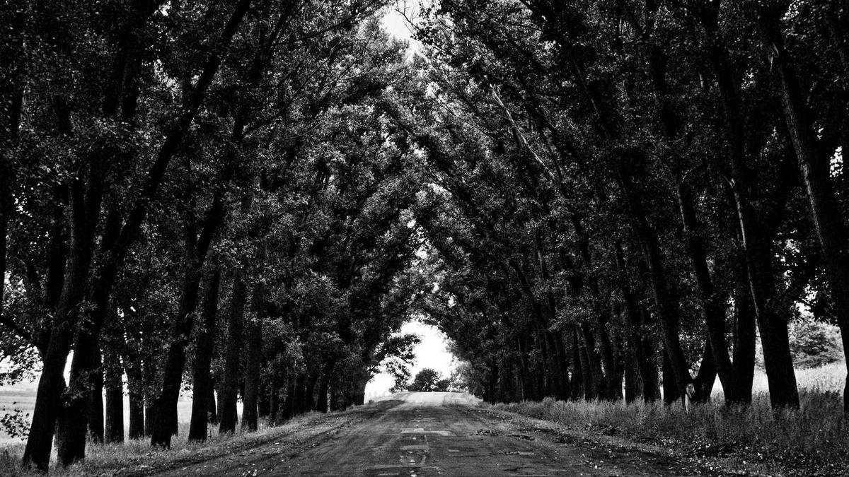 宿州市大运河历史文化保护利用项目