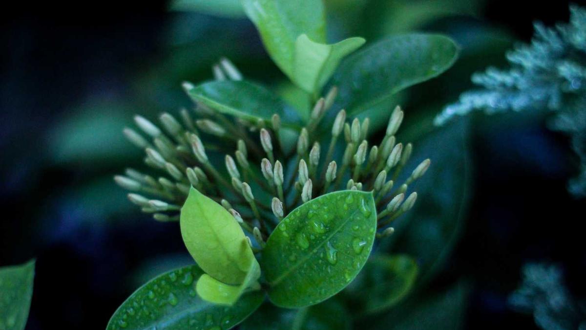 那款电动车跑外卖好不要驾照