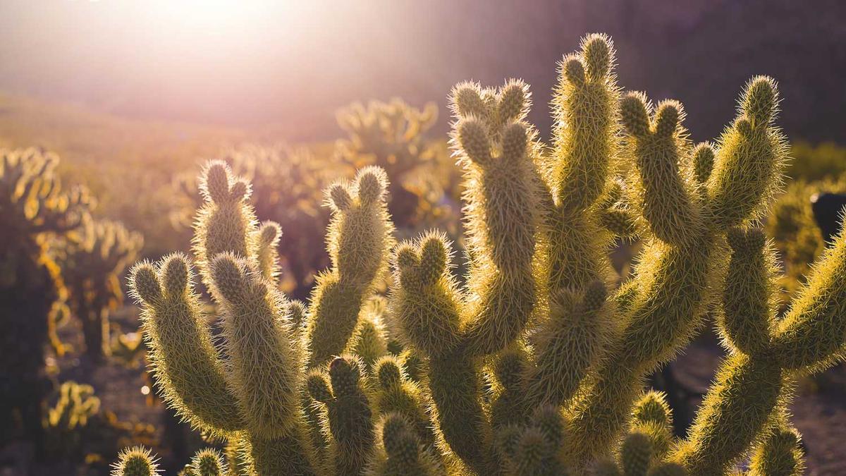 温州眼视光医院预约电话多少?