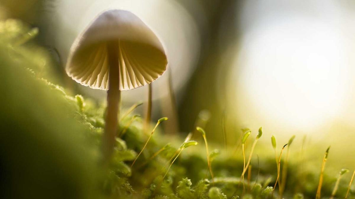 鞍山气象局在什么地方?