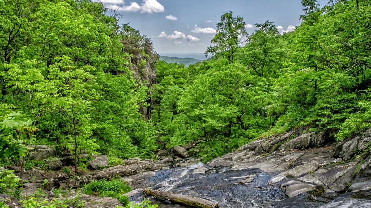 鞍山铁西区政务服务中心工作时间