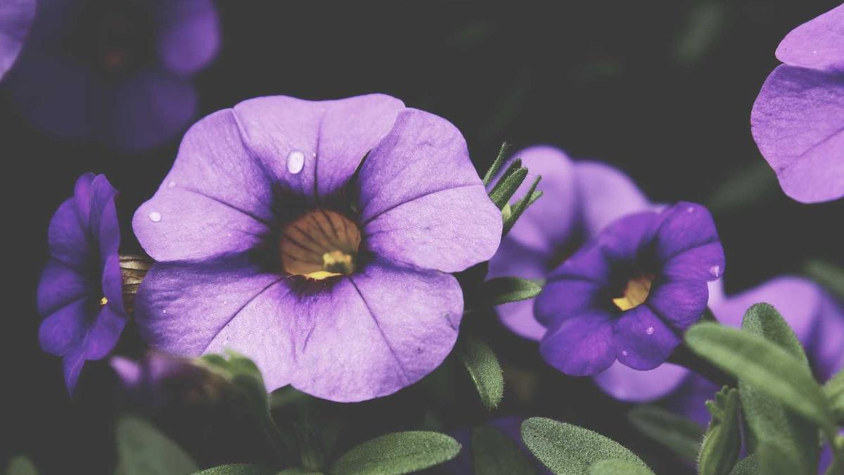 益阳职业技术学院在益阳哪个区