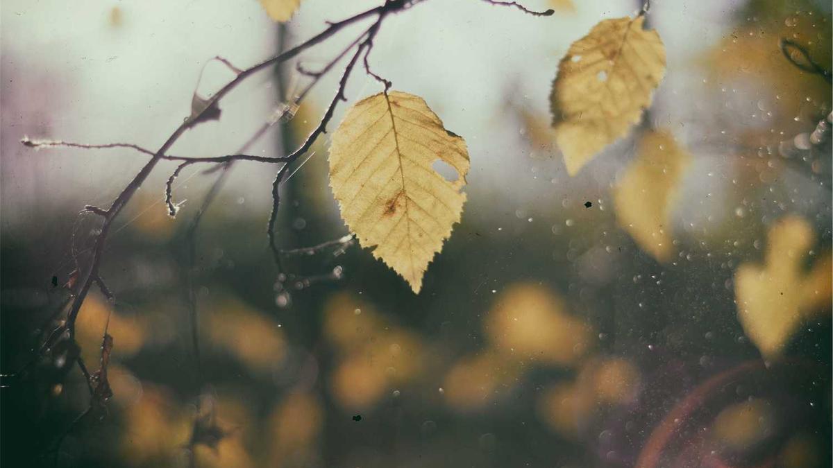 美容院做水疗用什么产品