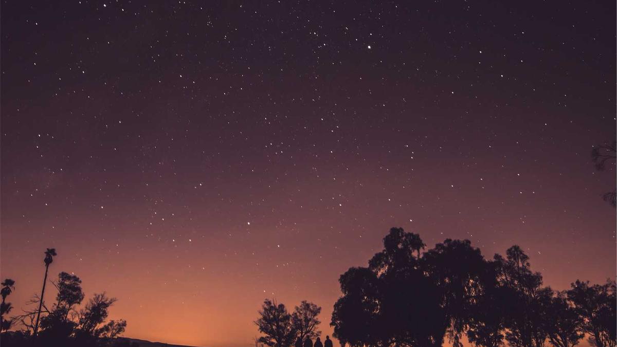 鄂尔多斯羊绒衫的价格