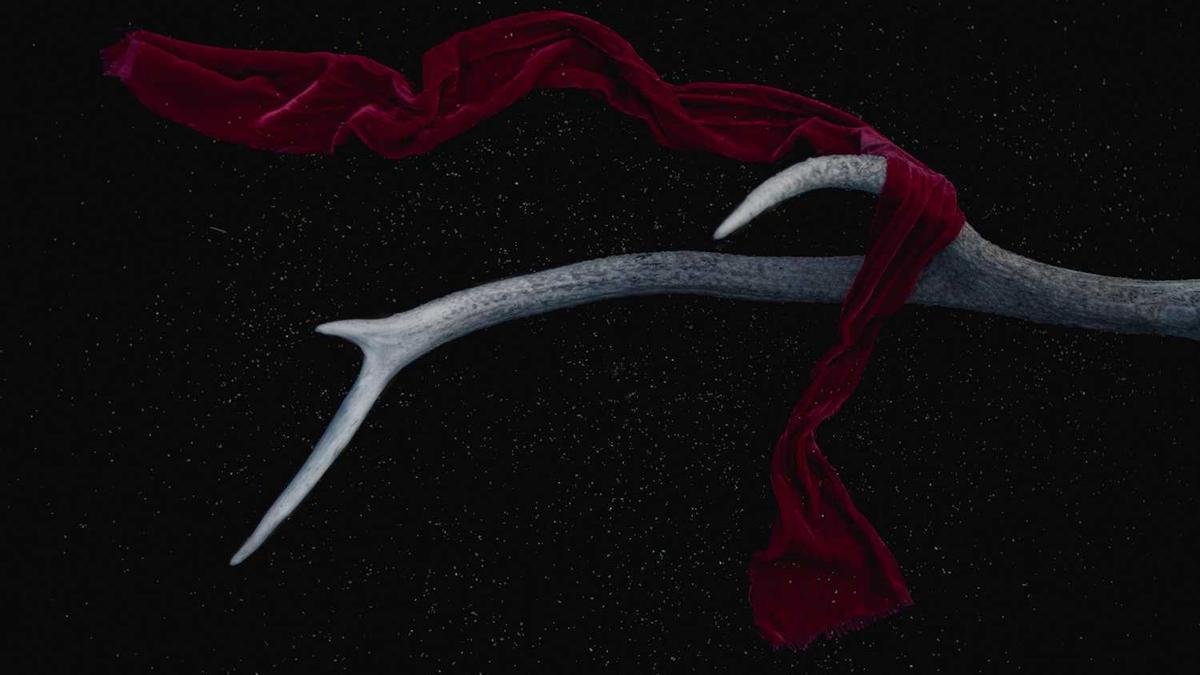 天津工业大学是什么学校?