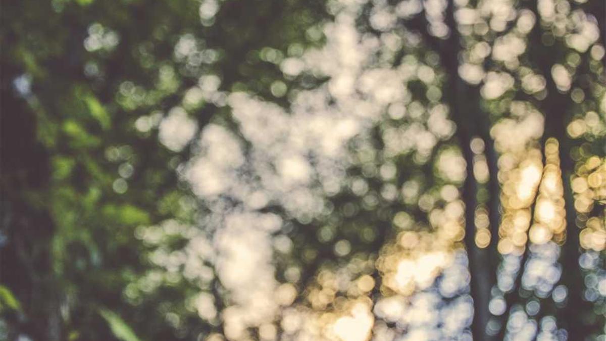 洛阳市外国语学校师资队伍