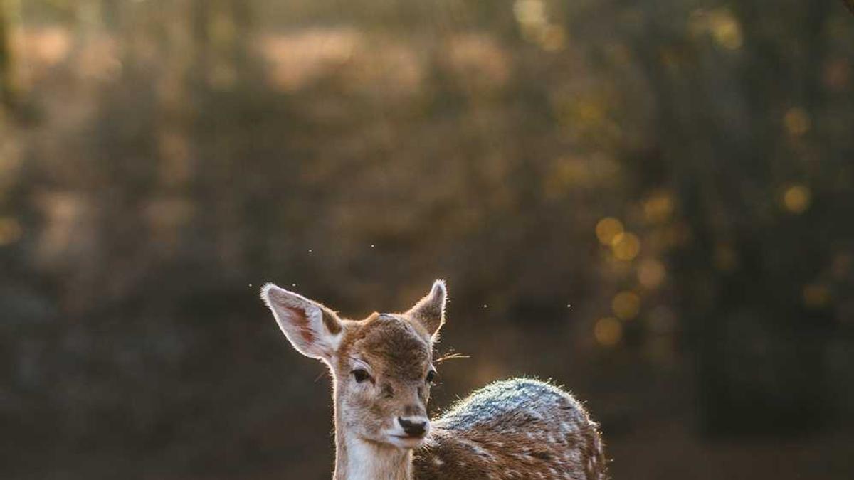 清远房价低于6000的有多少个